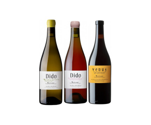 Ontdek de Dido-wijnset - Tinto 2018, Rosé 2021 en Blanco 2019. Geniet van gastronomische verfijning met Parker-scores van 93/100. Deze wijnset bevat wit, rood en rose
